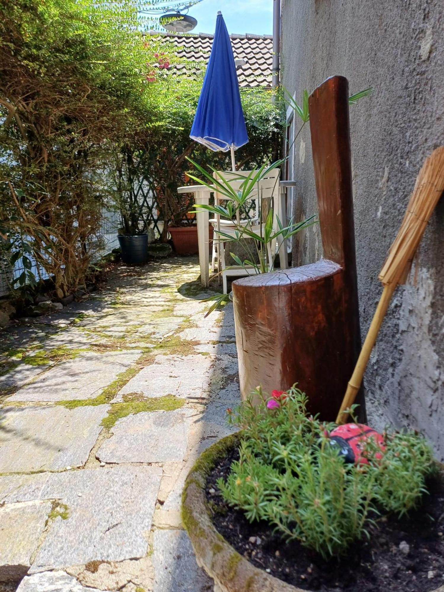 Val Grande Apartment Miazzina Extérieur photo
